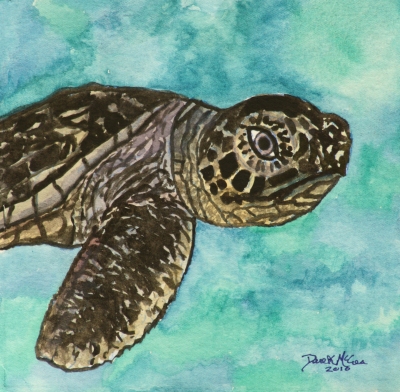 Baby Turtle Drawing