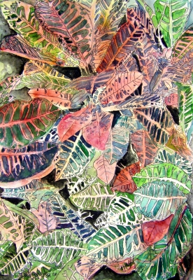 croton tropical plant painting