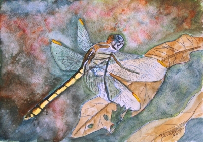 dragonfly painting