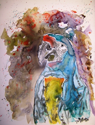 macaw parrot bird art painting
