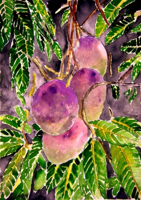 mango tree fruit still life painting