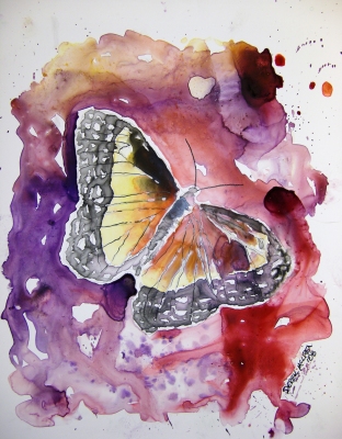 modern wildlife butterfly aceo watercolor painting
