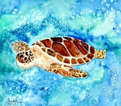 paintings of sea turtles