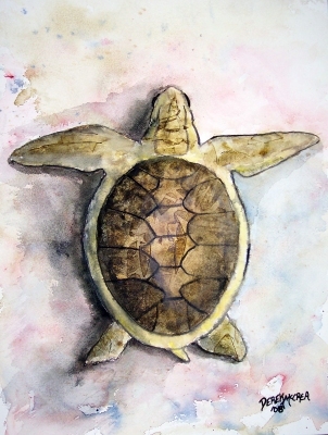 sea turtle art painting