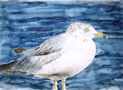 seagull bird painting