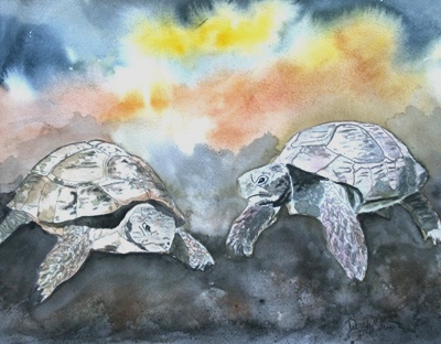 tortoise turtle painting